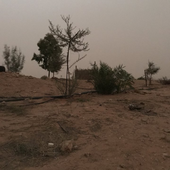 مشاركاتي في أنت الراصد