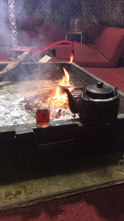 مشاركاتي في أنت الراصد