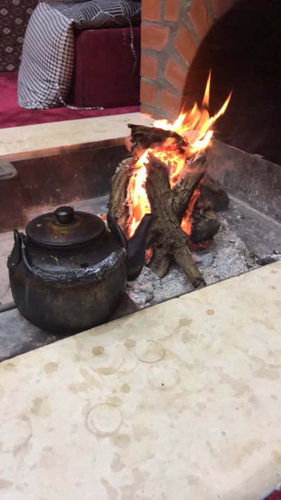 مشاركاتي في أنت الراصد