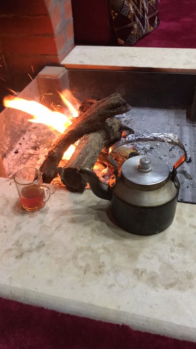 مشاركاتي في أنت الراصد