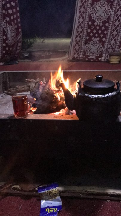 مشاركاتي في أنت الراصد