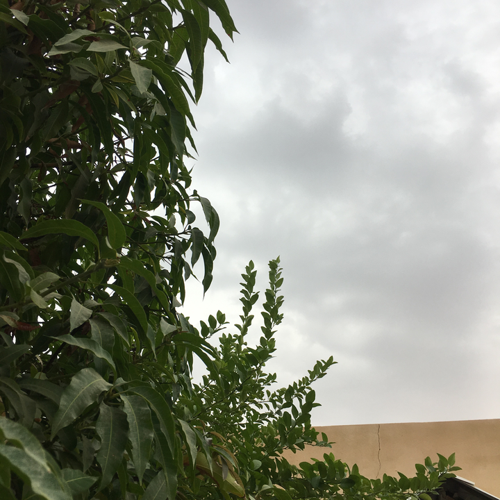 Mes publications Crowdsourcing