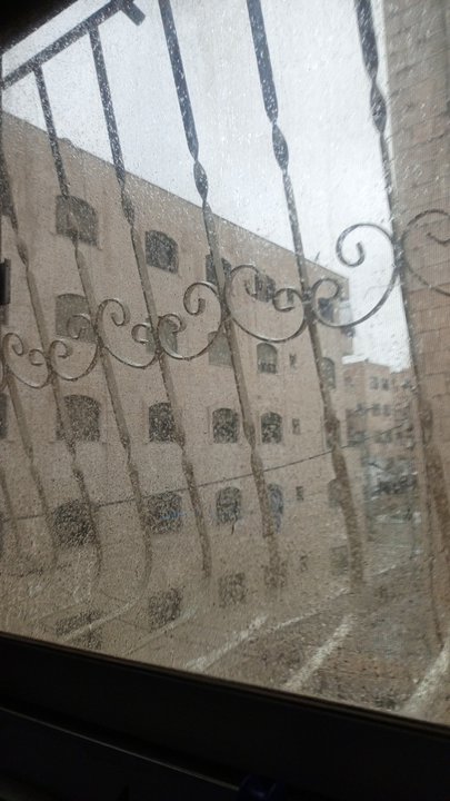 مشاركاتي في أنت الراصد