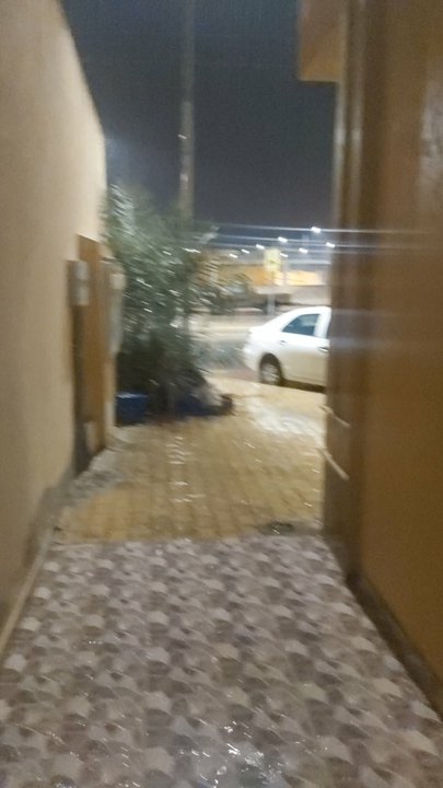 مشاركاتي في أنت الراصد