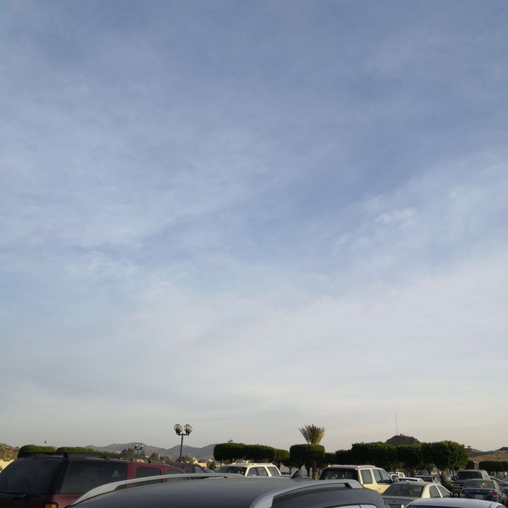 مشاركاتي في أنت الراصد