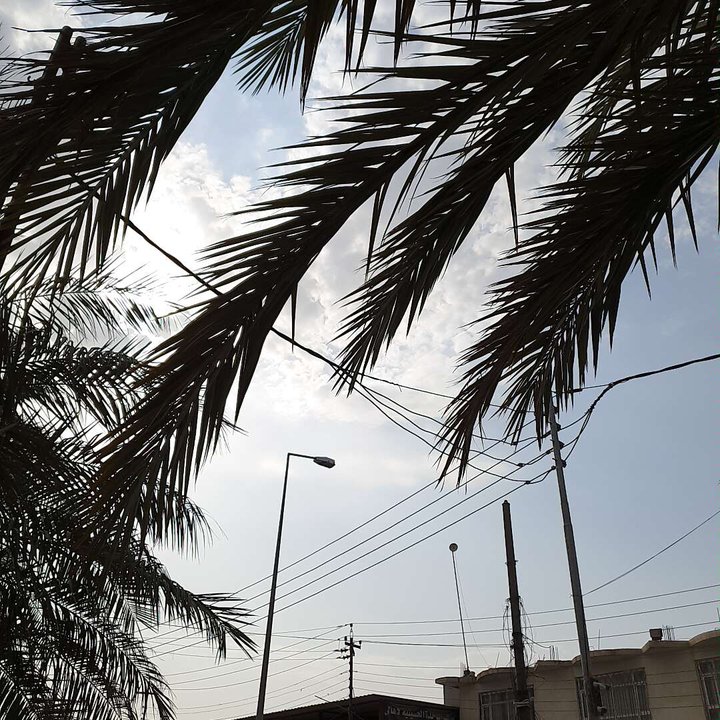 مشاركاتي في أنت الراصد