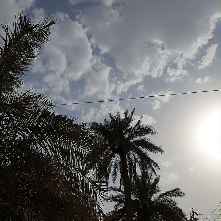 مشاركاتي في أنت الراصد