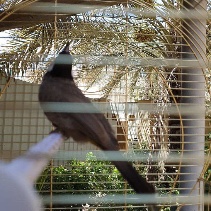 مشاركاتي في أنت الراصد