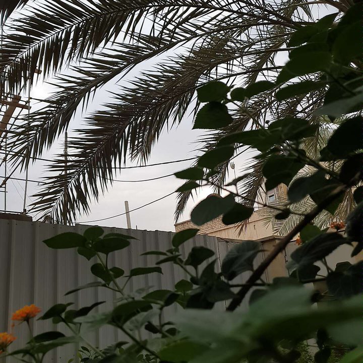 مشاركاتي في أنت الراصد