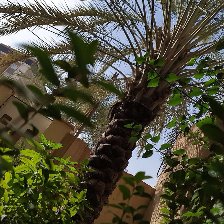 مشاركاتي في أنت الراصد