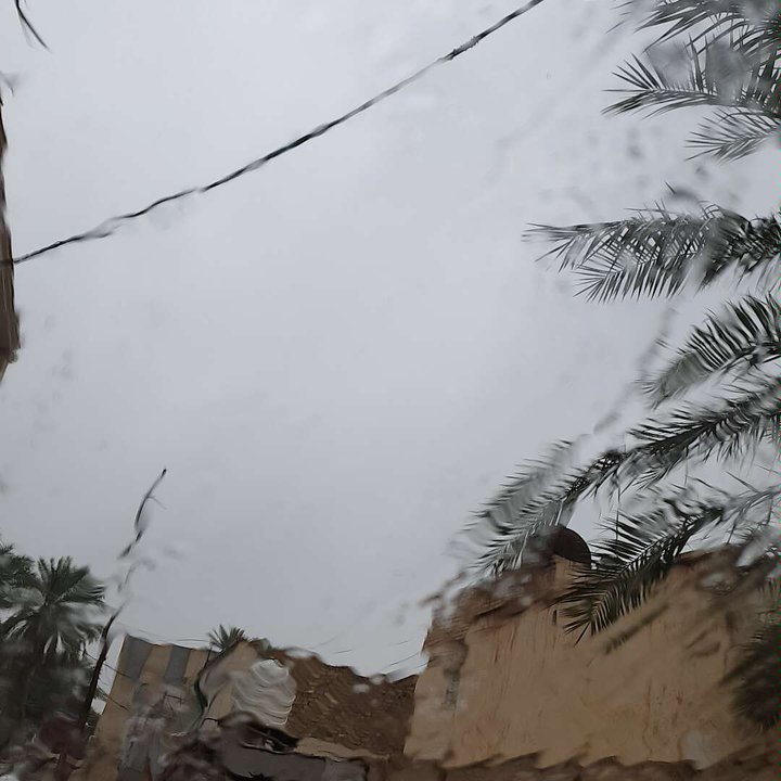 مشاركاتي في أنت الراصد