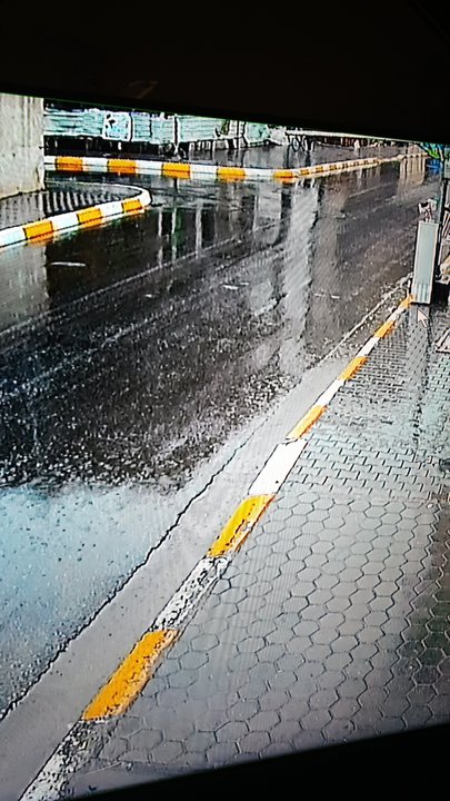 مشاركاتي في أنت الراصد