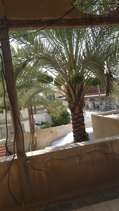 مشاركاتي في أنت الراصد