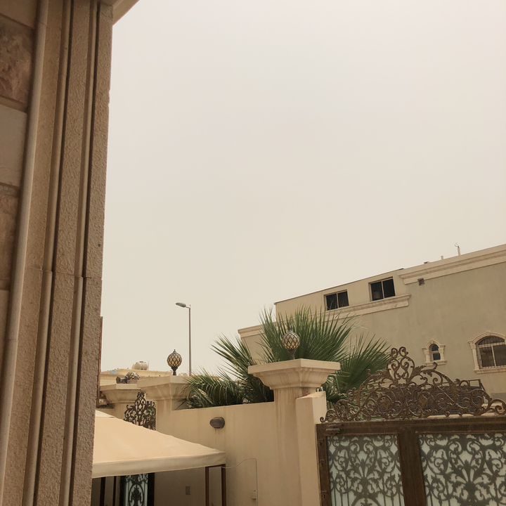 مشاركاتي في أنت الراصد