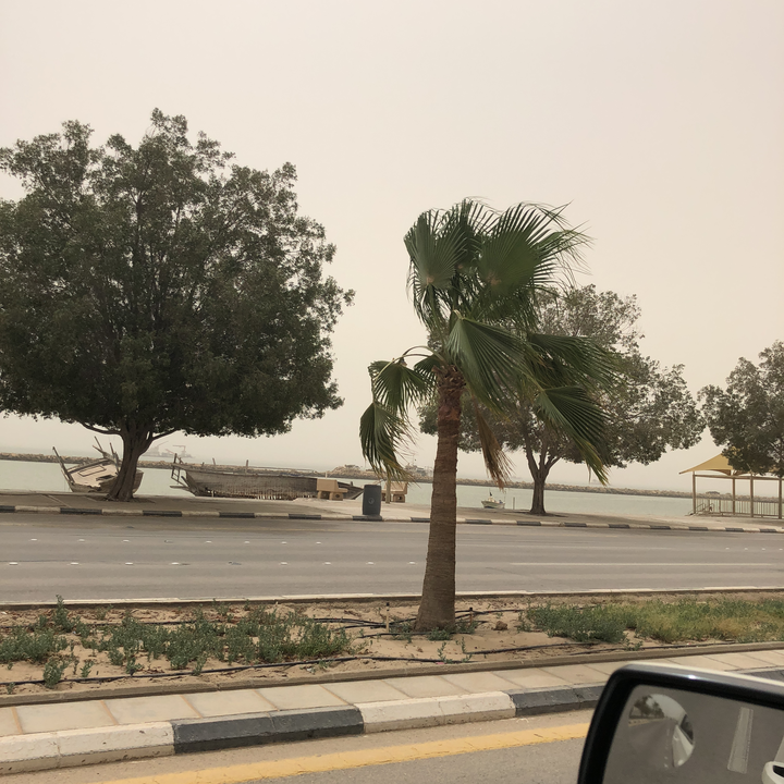 مشاركاتي في أنت الراصد