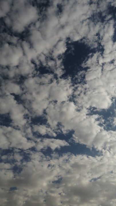 مشاركاتي في أنت الراصد