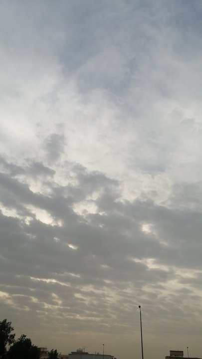 مشاركاتي في أنت الراصد