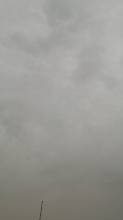 مشاركاتي في أنت الراصد