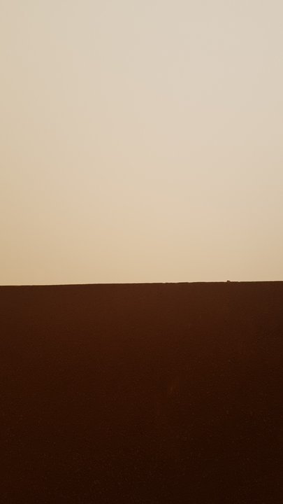 مشاركاتي في أنت الراصد