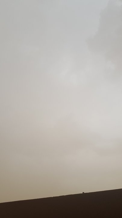 مشاركاتي في أنت الراصد