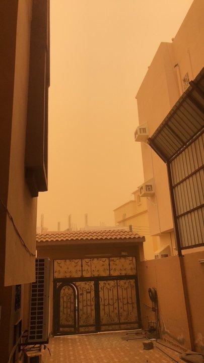 مشاركاتي في أنت الراصد