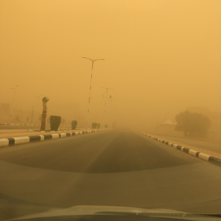 مشاركاتي في أنت الراصد