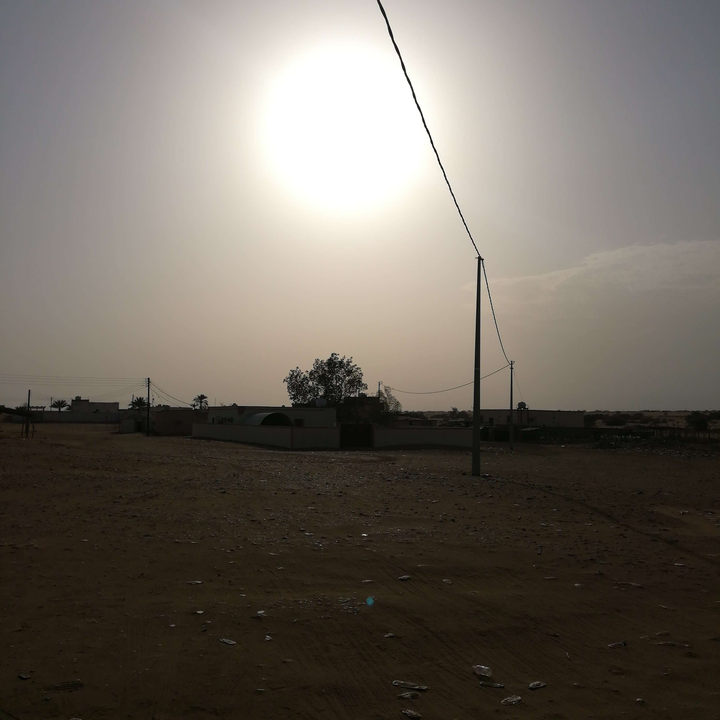 مشاركاتي في أنت الراصد