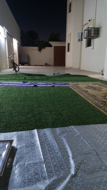 مشاركاتي في أنت الراصد