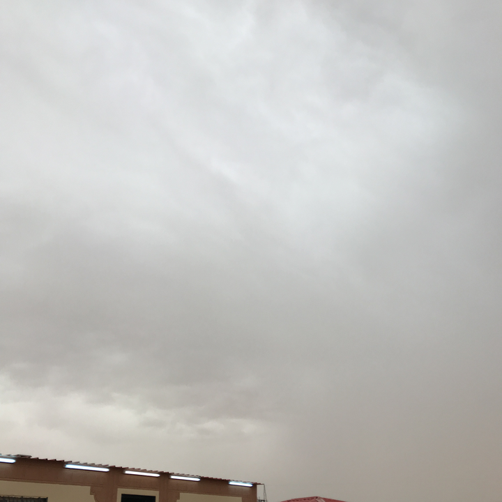 مشاركاتي في أنت الراصد