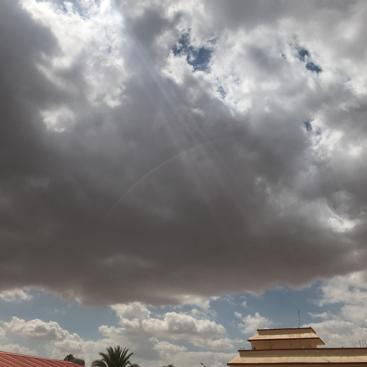 مشاركاتي في أنت الراصد