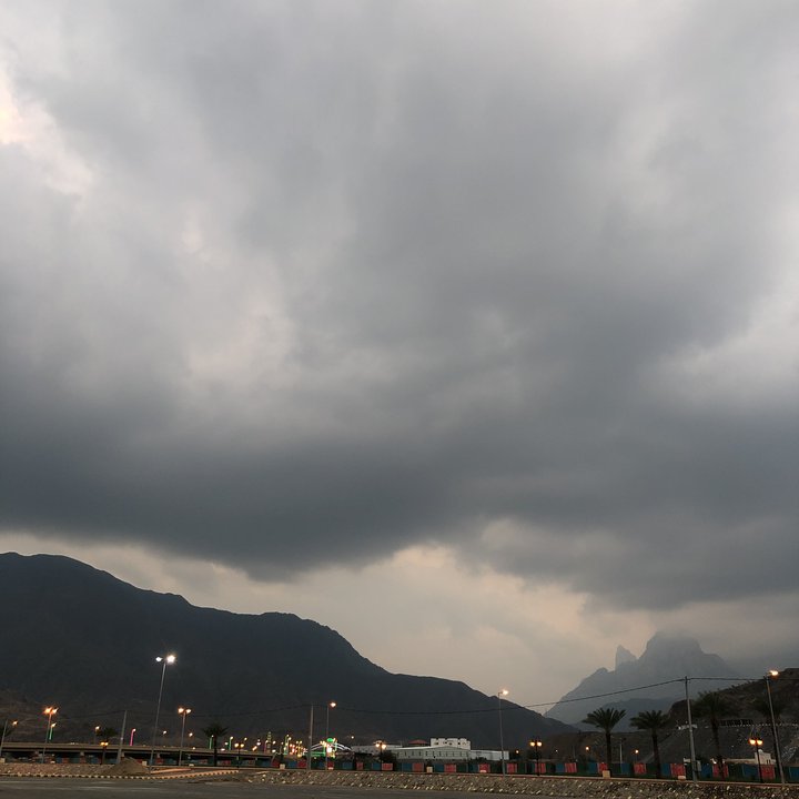 مشاركاتي في أنت الراصد