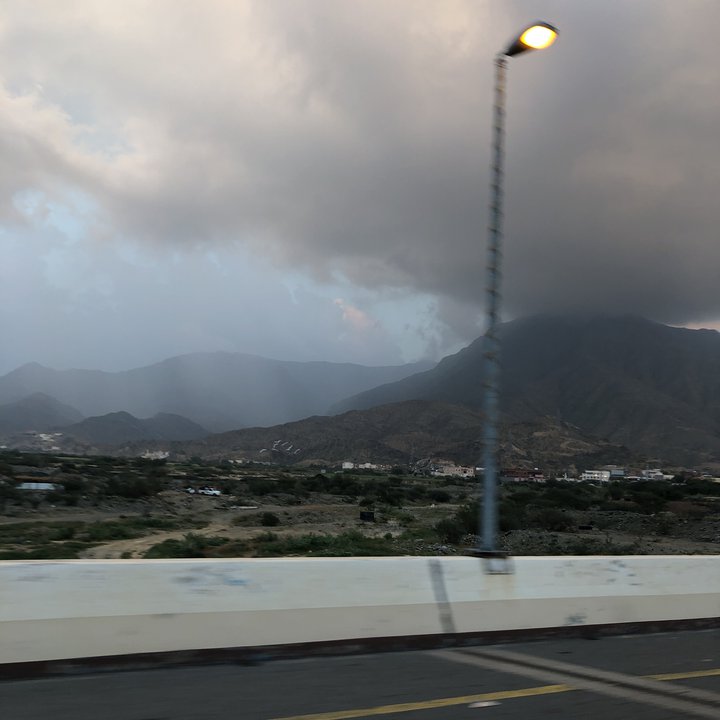 مشاركاتي في أنت الراصد