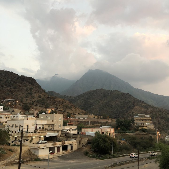 مشاركاتي في أنت الراصد