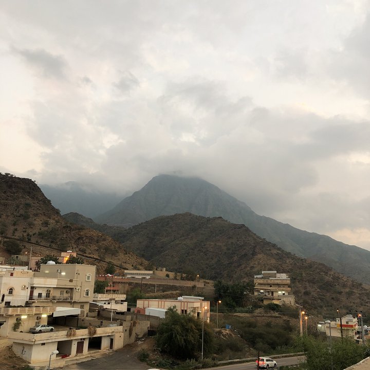 مشاركاتي في أنت الراصد