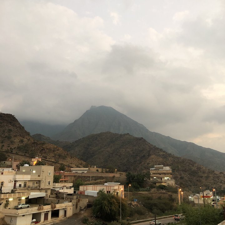 مشاركاتي في أنت الراصد