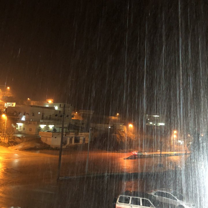 مشاركاتي في أنت الراصد