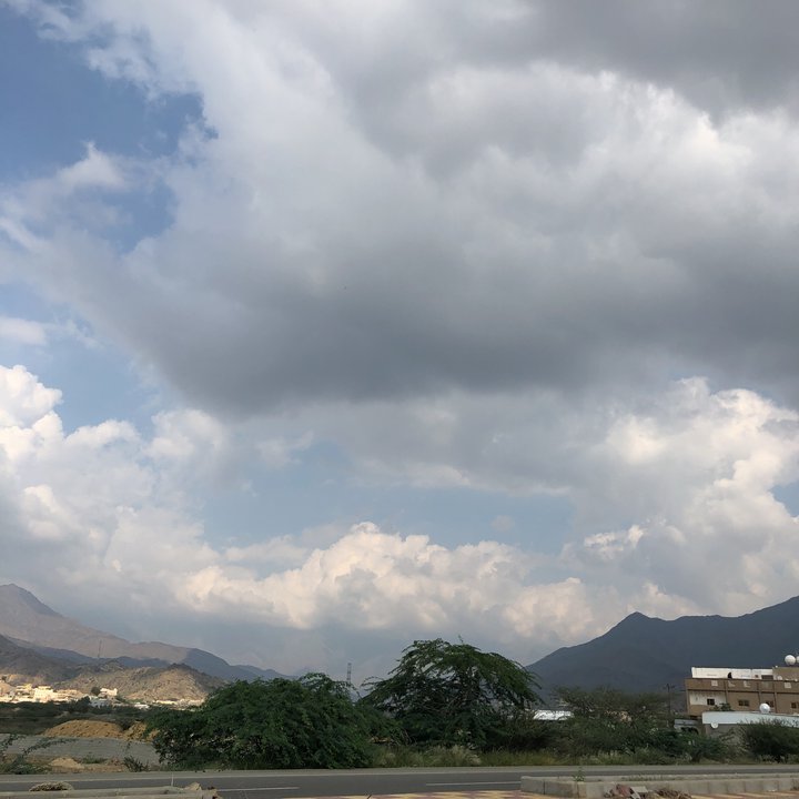 مشاركاتي في أنت الراصد