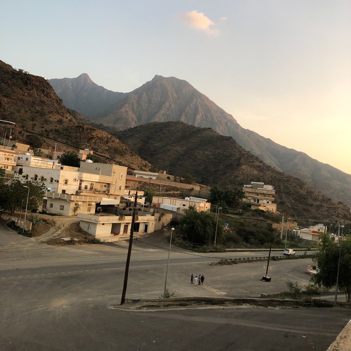 مشاركاتي في أنت الراصد