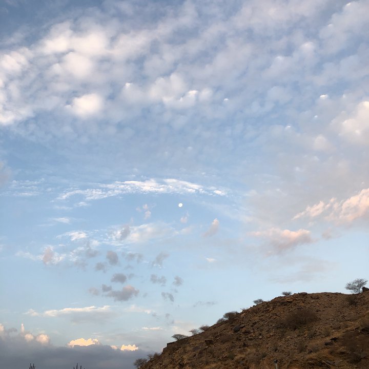 مشاركاتي في أنت الراصد