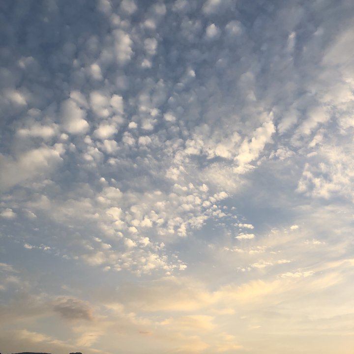 مشاركاتي في أنت الراصد