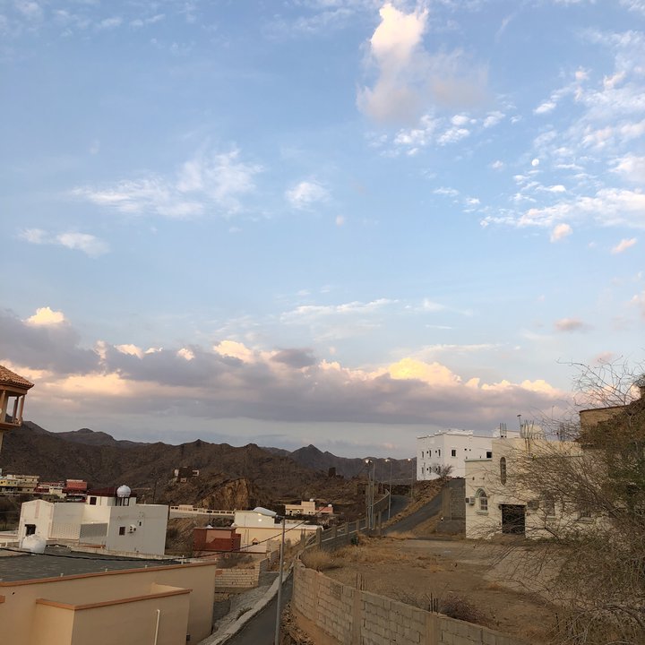 مشاركاتي في أنت الراصد