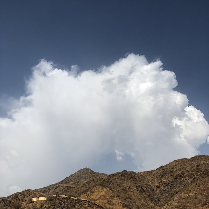 مشاركاتي في أنت الراصد