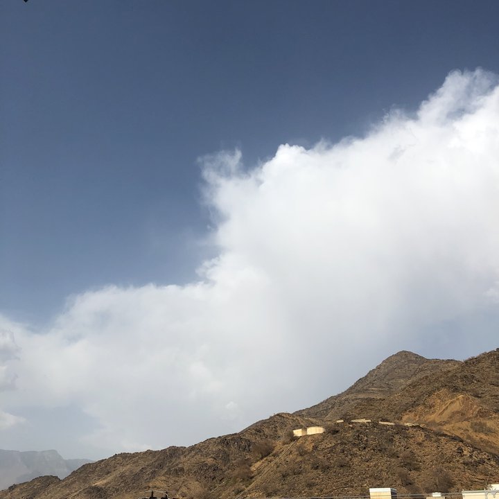 مشاركاتي في أنت الراصد