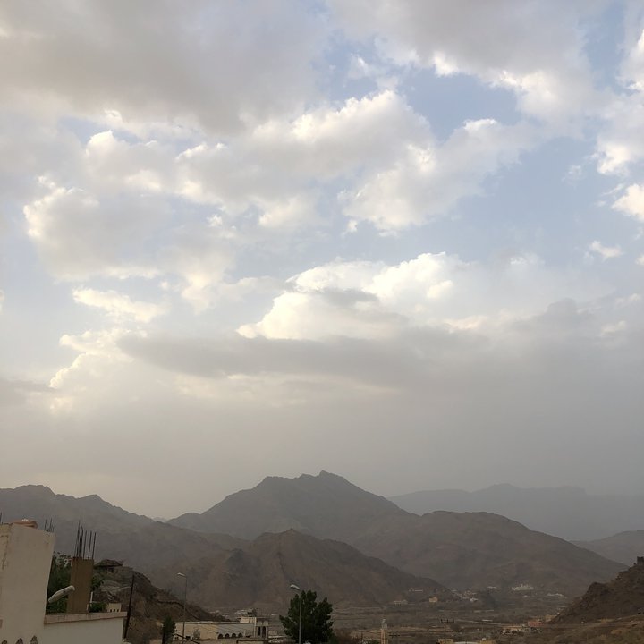 مشاركاتي في أنت الراصد