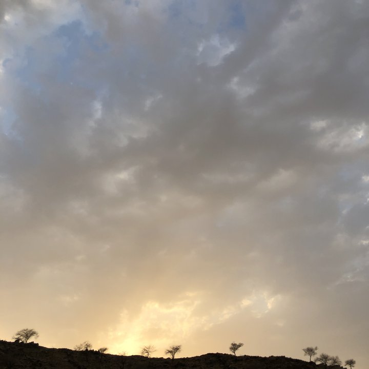 مشاركاتي في أنت الراصد