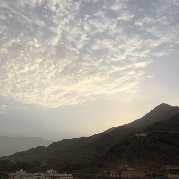 مشاركاتي في أنت الراصد