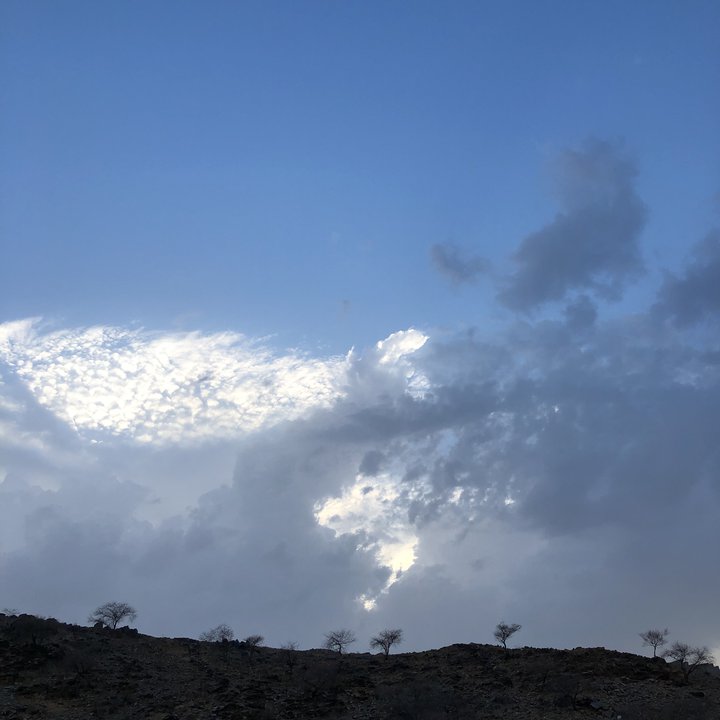 مشاركاتي في أنت الراصد