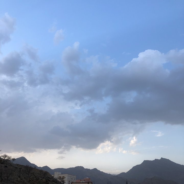 مشاركاتي في أنت الراصد