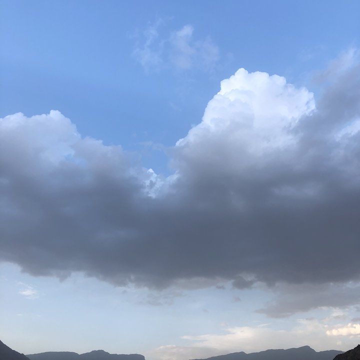 مشاركاتي في أنت الراصد