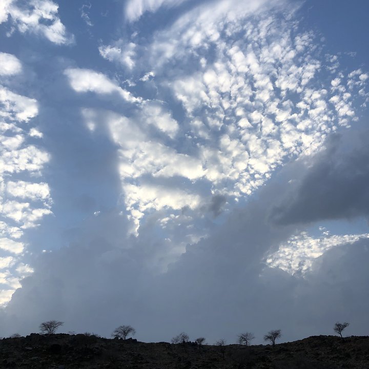 مشاركاتي في أنت الراصد